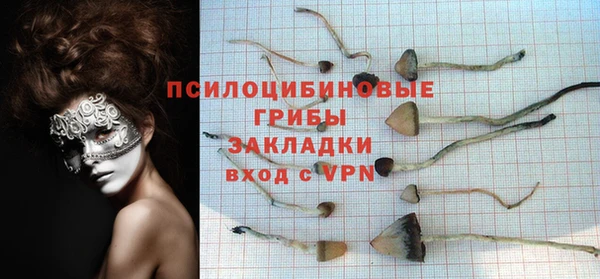 каннабис Алзамай